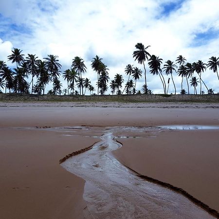 Rosagash Paradise - Praia De Santo Antonio Mata de Sao Joao Buitenkant foto