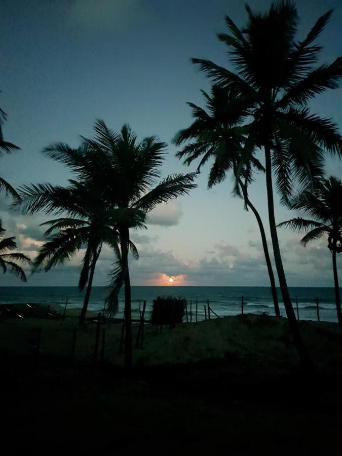 Rosagash Paradise - Praia De Santo Antonio Mata de Sao Joao Buitenkant foto