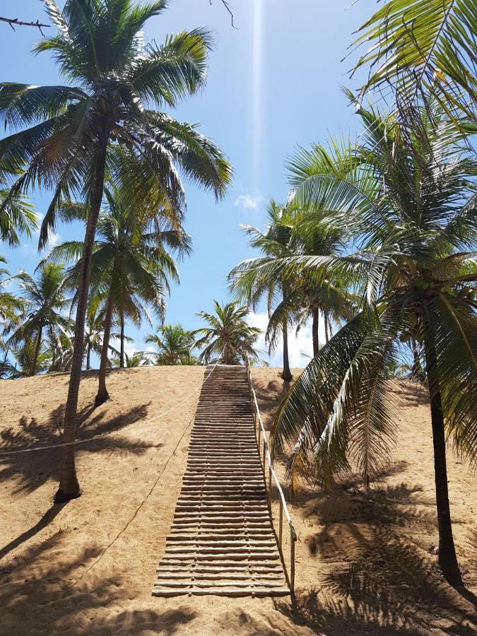 Rosagash Paradise - Praia De Santo Antonio Mata de Sao Joao Buitenkant foto