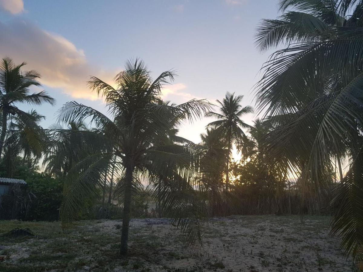 Rosagash Paradise - Praia De Santo Antonio Mata de Sao Joao Buitenkant foto
