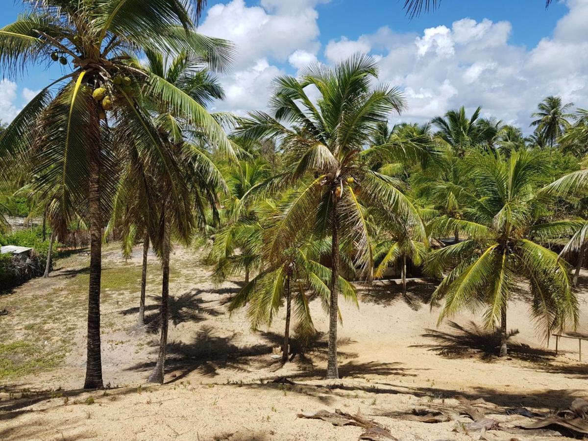 Rosagash Paradise - Praia De Santo Antonio Mata de Sao Joao Buitenkant foto